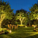 12 Outdoor Tree Lighting Concepts That Install Without Drilling